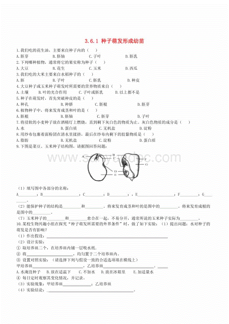 MK体育官网