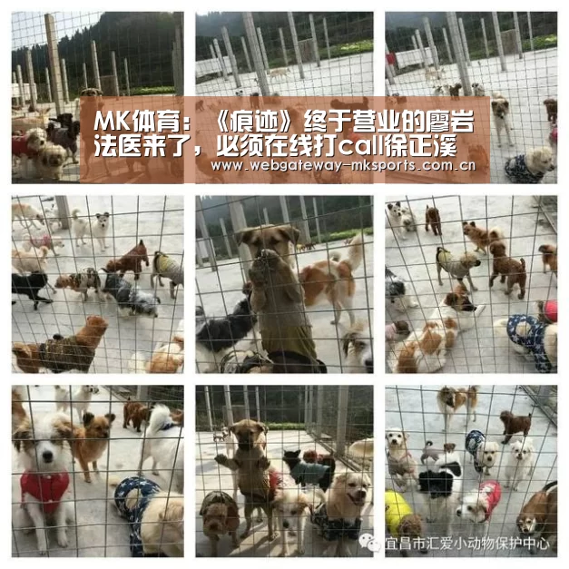 MK体育:《痕迹》终于营业的廖岩法医来了,必须在线打call徐正溪(图2) MK体育官网