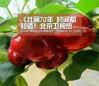 《壮丽70年 时间都知道》北京卫视热播 跨历史长河讲中国故事_MK SPORT(图1) MK SPORT