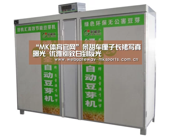 MK体育